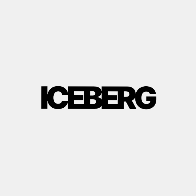 Iceberg